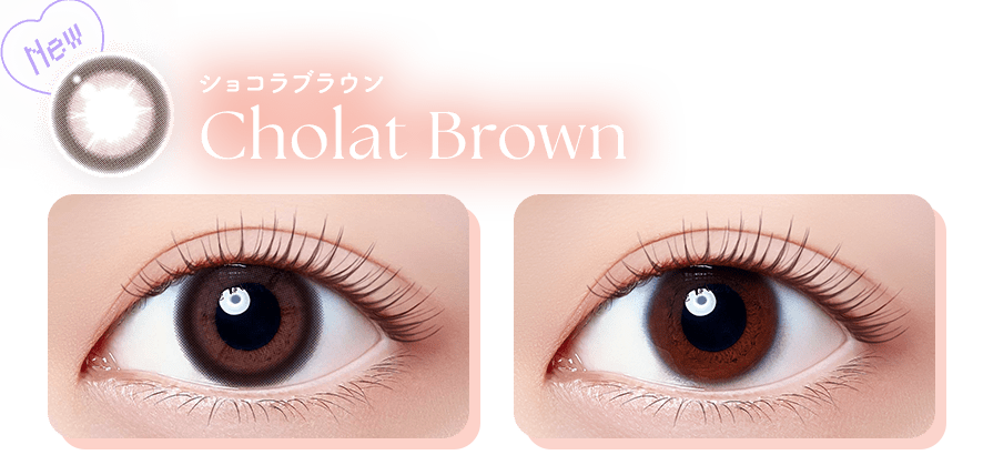 Chocolat Brown ショコラブラウン