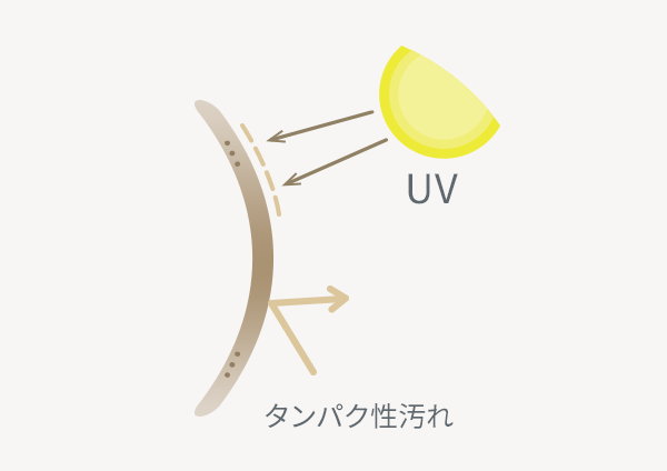 色素が直接触れない